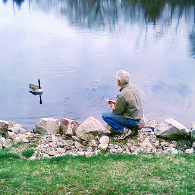Tom feeding geese at Dprset Mill Pond
